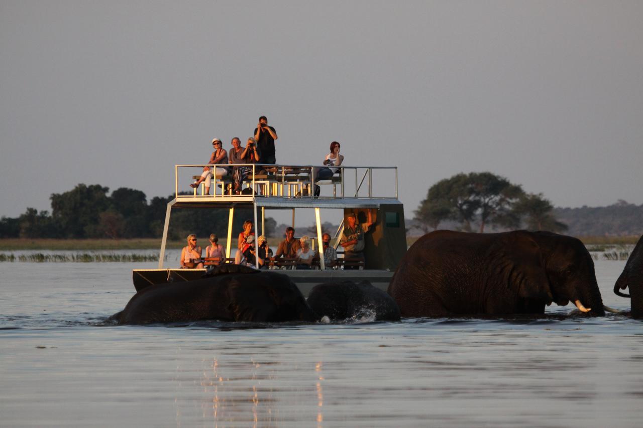 Chobe River Camp Ngoma Eksteriør bilde