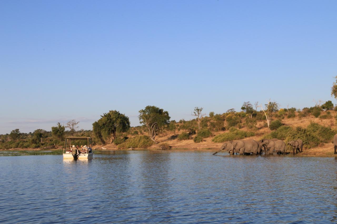 Chobe River Camp Ngoma Eksteriør bilde